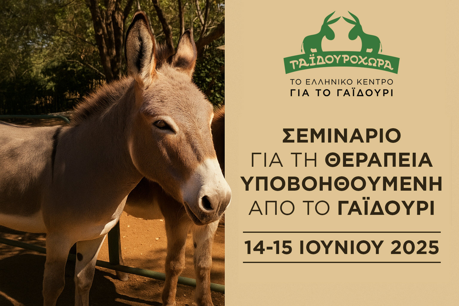 1ο Σεμινάριο: “Εισαγωγή στη Θεραπεία υποβοηθούμενη από το γαϊδούρι”
